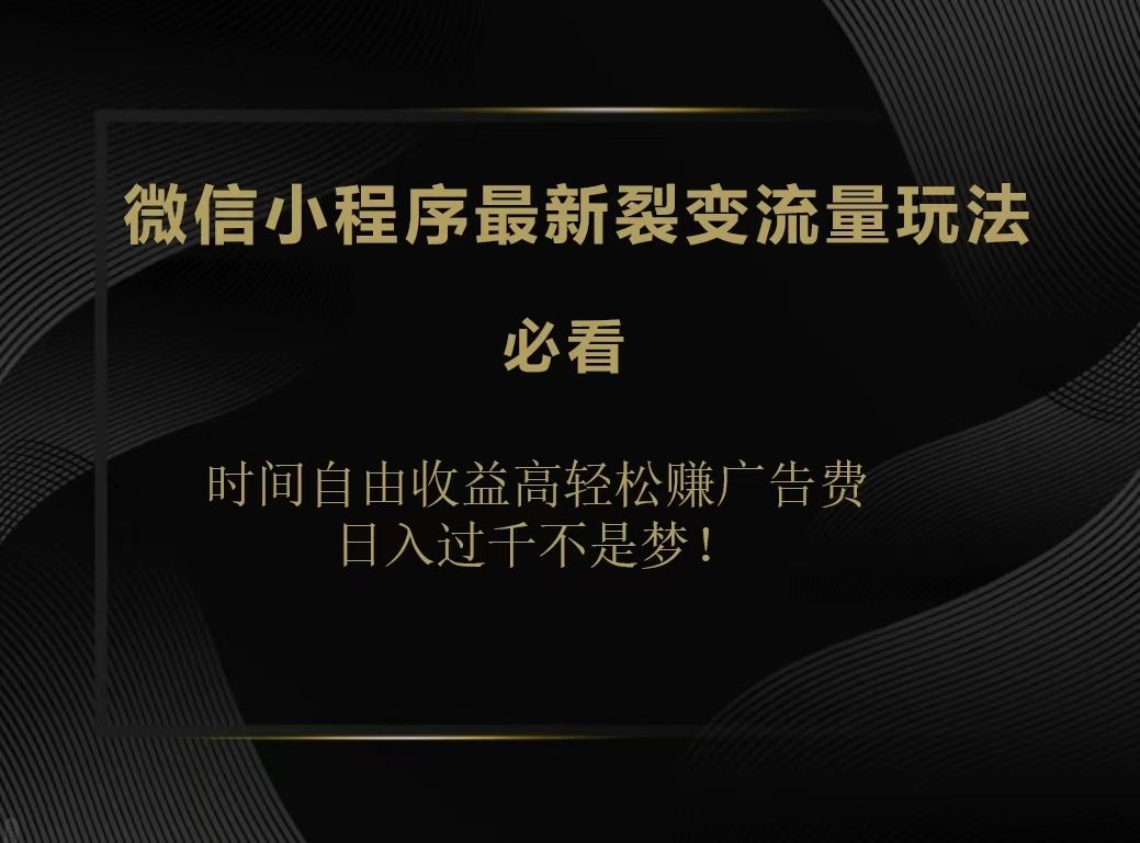 微信小程序最新裂变流量玩法,时间自由收益高轻松赚广告费,源码仅供个人学习研究,不可商用