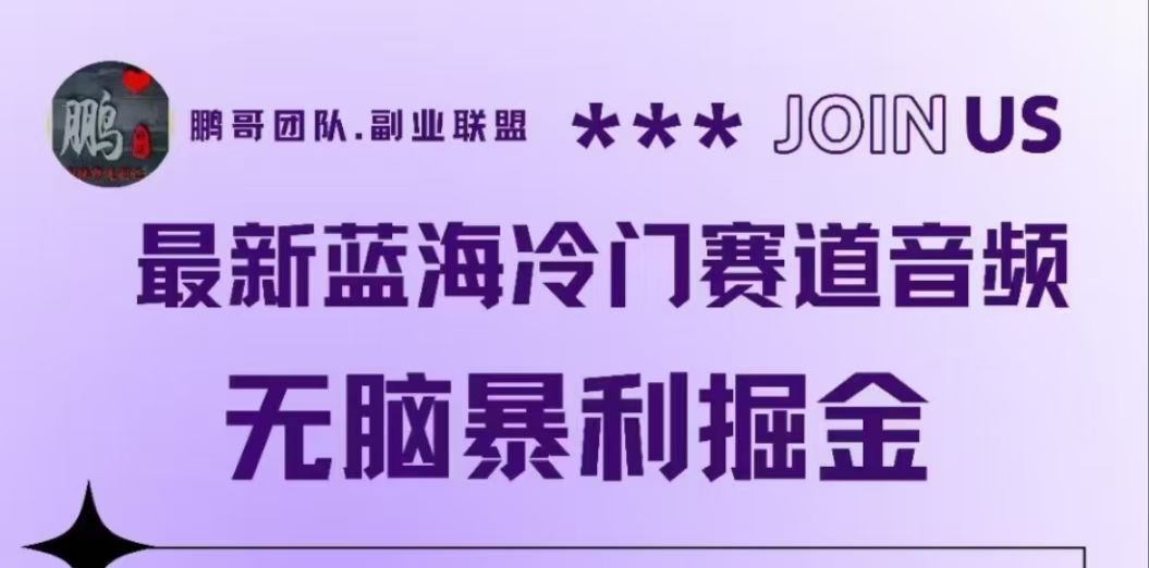 最新蓝海冷门赛道音频,源码仅供个人学习研究,不可商用