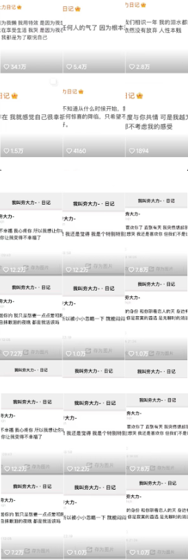预览图