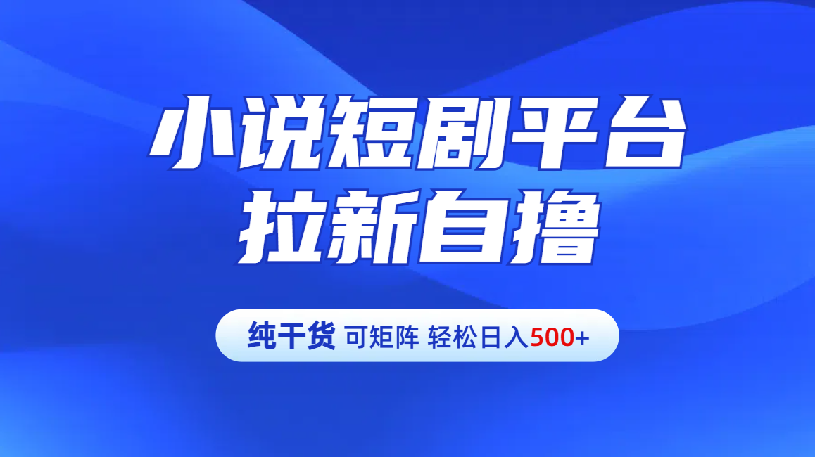 预览图