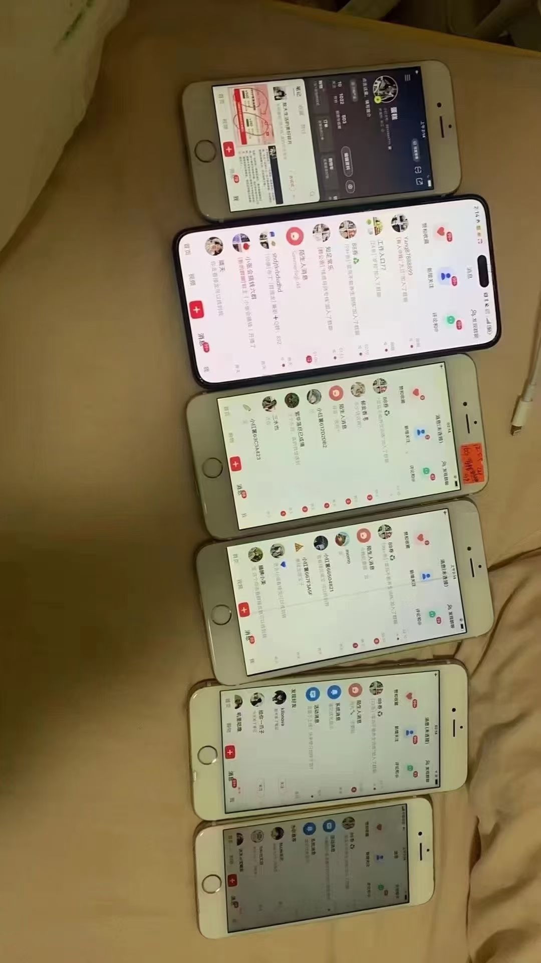 预览图