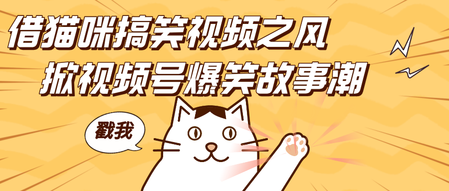 预览图