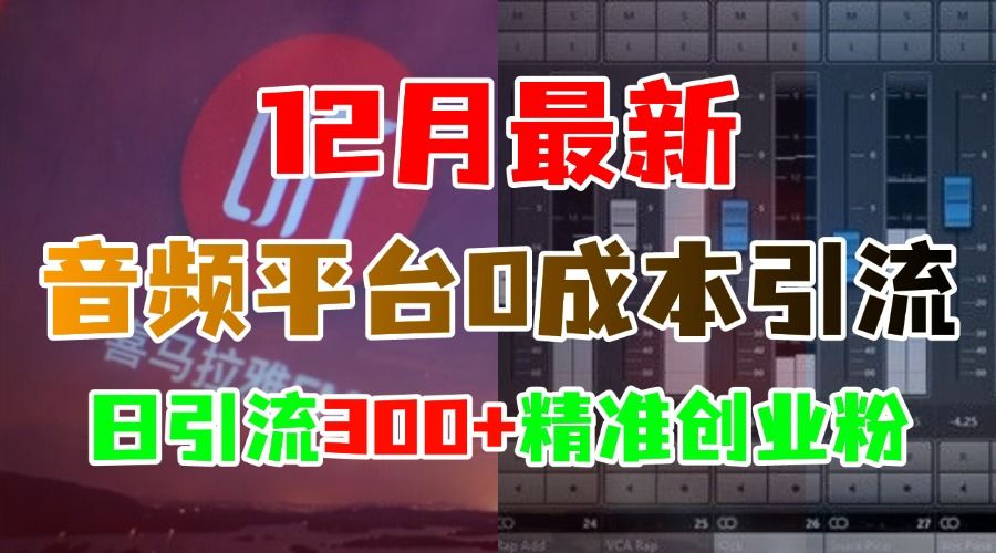12月最新：音频平台0成本yin.流，日引300+精准创业