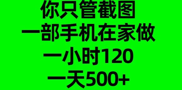 预览图