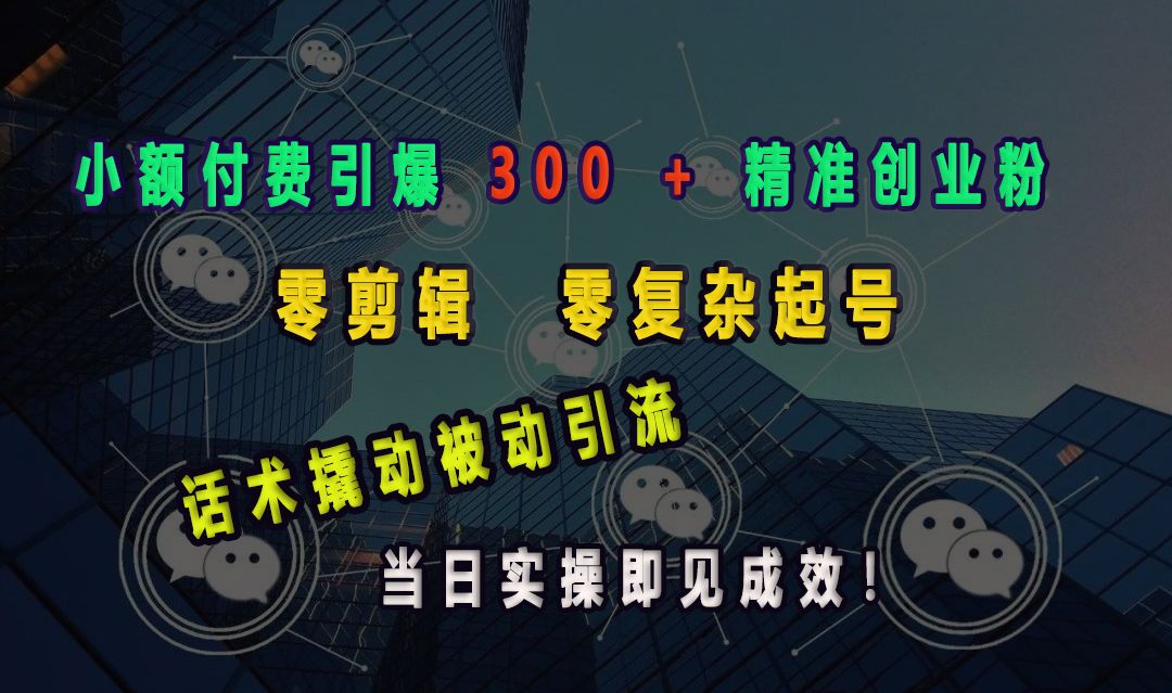 小额付费引爆300 + 精准创业