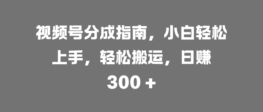 预览图
