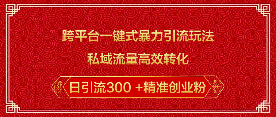 私域流量高效转化日引300