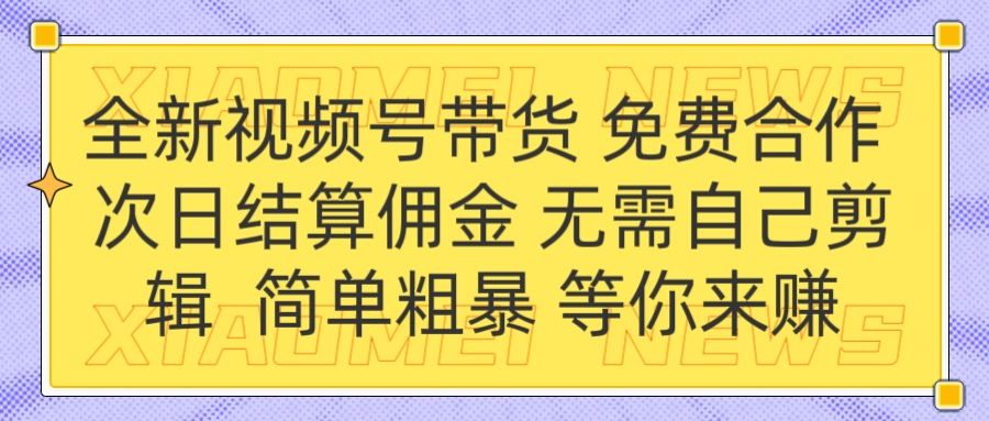 预览图
