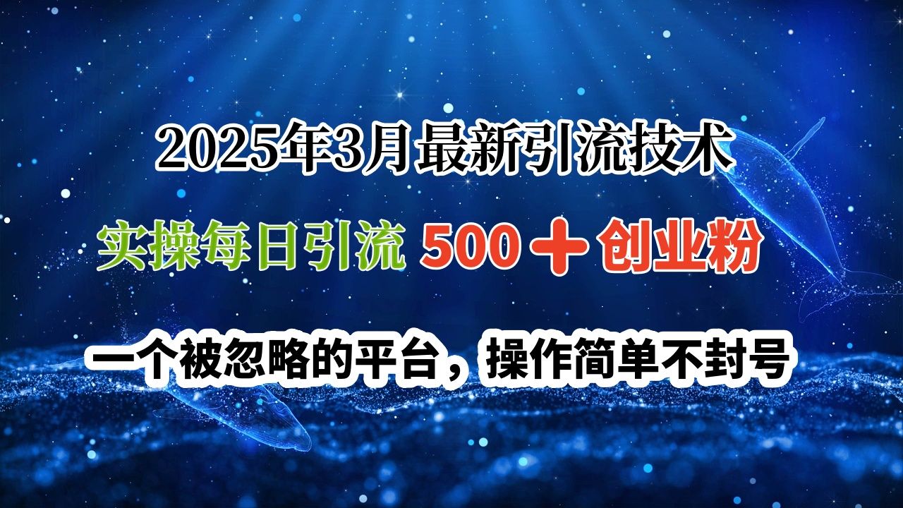 2025年3月最新技术，实操每日500创业，一个被忽略的平台
