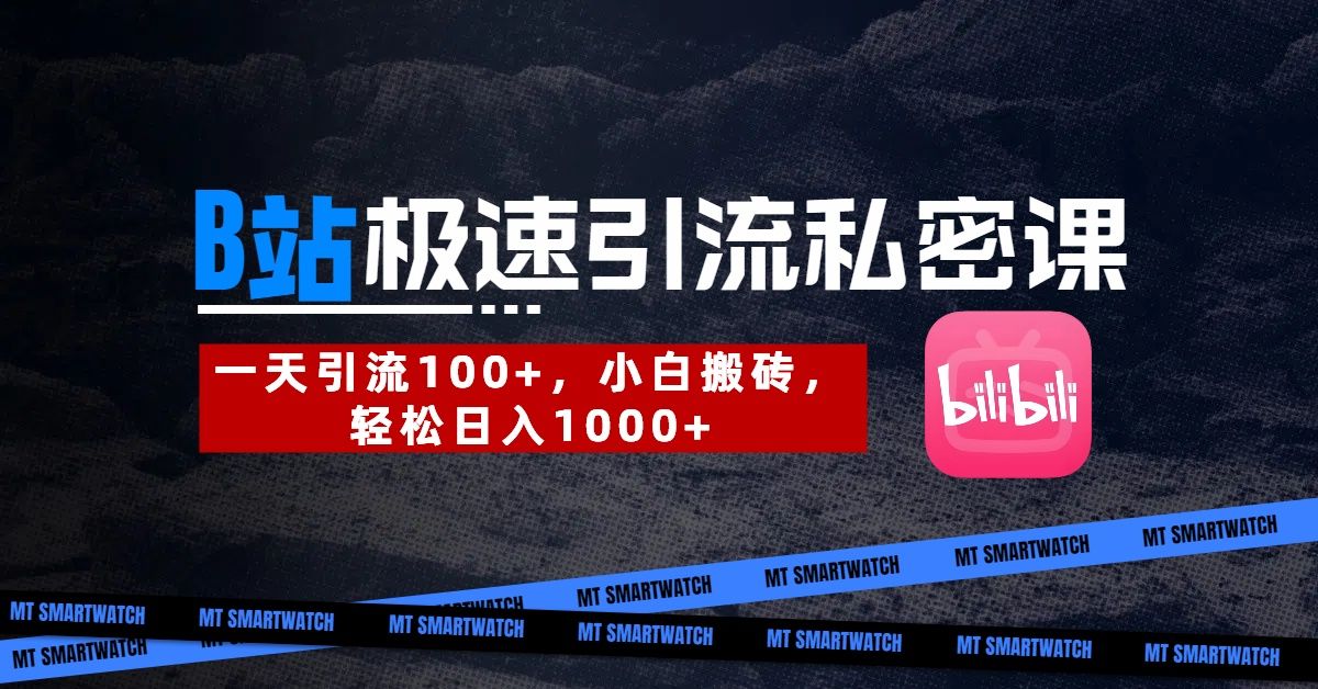 B站创业极速私密课。一天100+