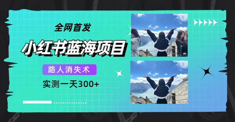 全网首发,小红书蓝海项目,路人消失术,实测一天300+(教程+工具),源码仅供个人学习研究,不可商用
