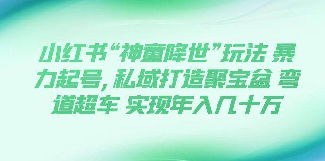 小红书“神童降世”玩法 暴力起号,私域打造聚宝盆 弯道超车,源码仅供个人学习研究,不可商用