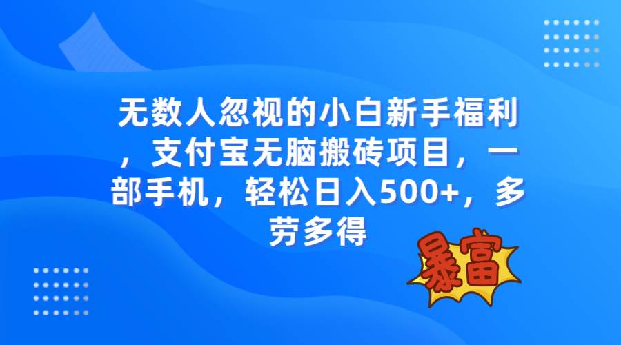 无数人忽视的项目,支付宝项目,一部手机即可操作,源码仅供个人学习研究,不可商用