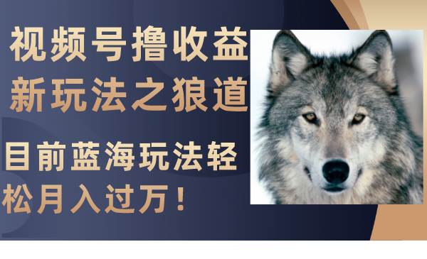 视频号撸收益新玩法之狼道,目前蓝海玩法,源码仅供个人学习研究,不可商用