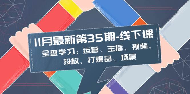 11月最新-35期-线下课:全盘学习:运营、主播、视频、投放、打爆品、场景,源码仅供个人学习研究,不可商用