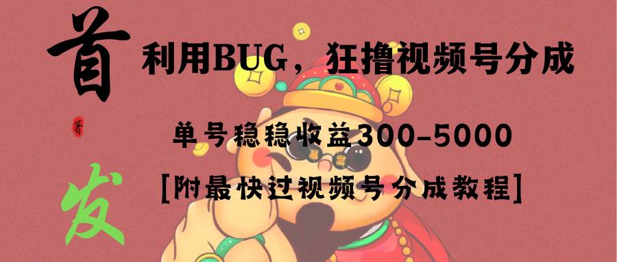 全网独家首发，视频号BUG，超短期项目，单号每日净收益300-5000！，源码仅供个人学习研究，不可商用