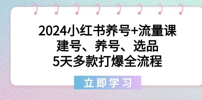 2024小红书养号+流量课:建号、养号、选品,5天多款打爆全流程,源码仅供个人学习研究,不可商用