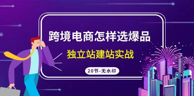 跨境电商怎样选爆品,独立站建站实战(20节高清无水印课),源码仅供个人学习研究,不可商用