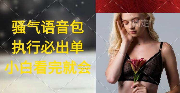 执行就出单，一天2000+，超火骚气语音包，小白看完课程就能马上实操，源码仅供个人学习研究，不可商用