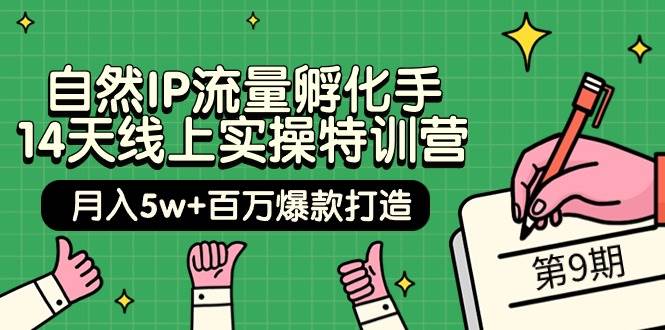 自然IP流量孵化手 14天线上实操特训营【第9期】百万爆款打造 (74节),源码仅供个人学习研究,不可商用