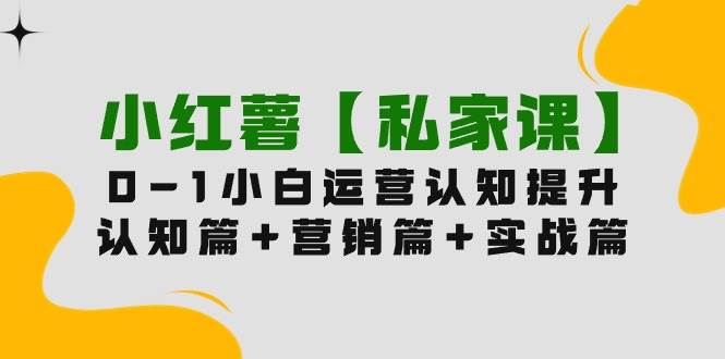 小红薯【私家课】0-1玩赚小红书内容营销,认知篇+营销篇+实战篇(11节课),源码仅供个人学习研究,不可商用