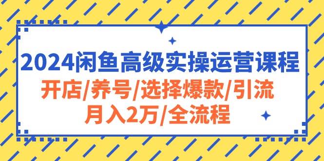 2024闲鱼高级实操运营课程:开店/养号/选择爆款/引流/一个月2万/全流程,源码仅供个人学习研究,不可商用