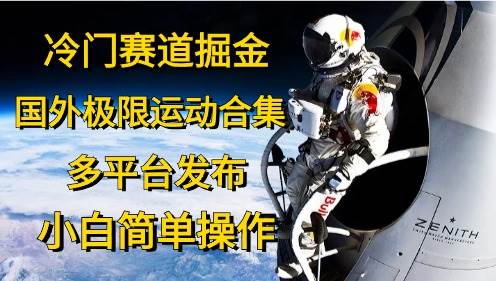 冷门赛道掘金，国外极限运动视频合集，多平台发布，小白简单操作，源码仅供个人学习研究，不可商用