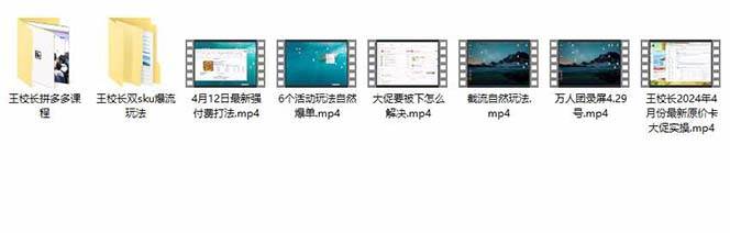 拼多多·实战课：万人团玩法/截流自然流/最新强付费打法/最新原价卡大促..，源码仅供个人学习研究，不可商用
