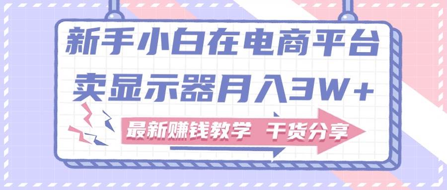 新手小白如何做到在电商平台卖显示器一个月3W+,最新赚钱教学干货分享,源码仅供个人学习研究,不可商用
