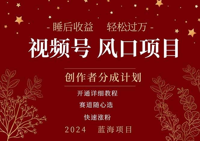拥有睡眠收益的微信视频号大风口项目,轻松一个月过万+,多赛道选择,可...,源码仅供个人学习研究,不可商用
