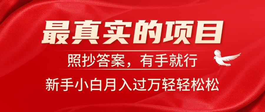 最真实的项目，照抄答案，有手就行，新手小白一个月过万轻轻松松，源码仅供个人学习研究，不可商用