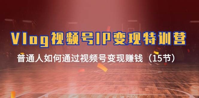 Vlog 视频号IP变现特训营,普通人如何通过视频号变现赚钱(15节),源码仅供个人学习研究,不可商用