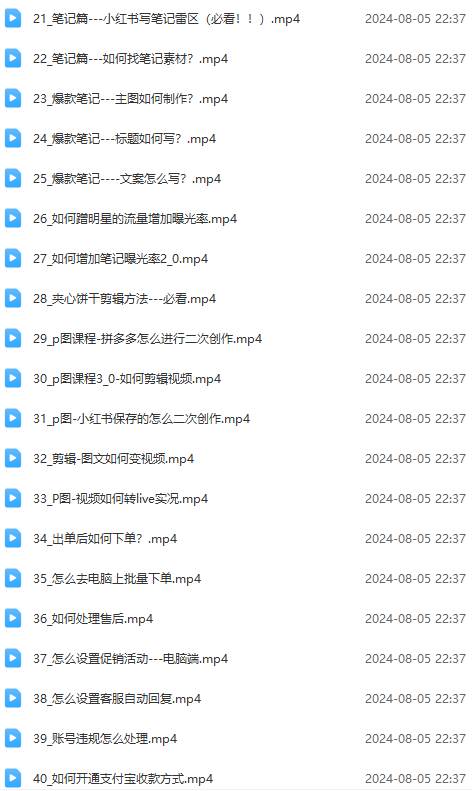 2024小红书电商实战课：全体系打造 全方位梳理 小红书电商逻辑体系 (42节)，源码仅供个人学习研究，不可商用